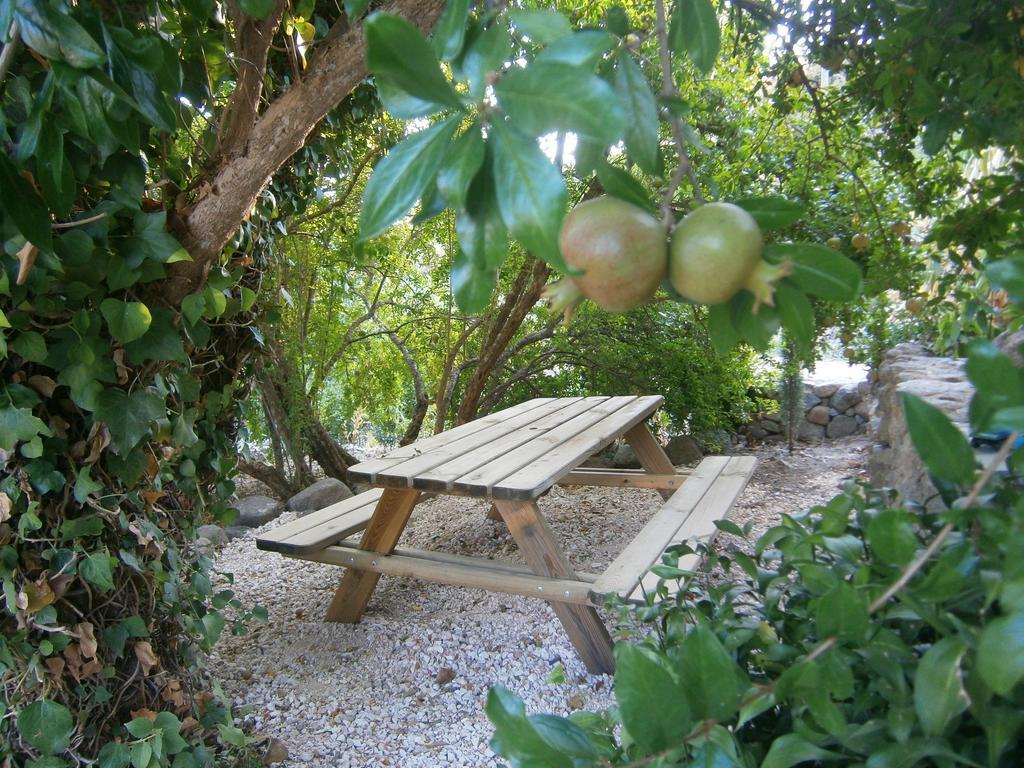Quinta Do Tempo Turismo Rural Monchique Kültér fotó