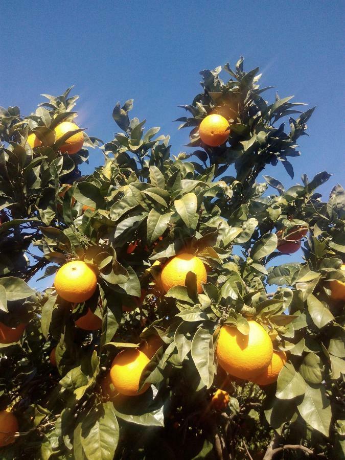 Quinta Do Tempo Turismo Rural Monchique Kültér fotó