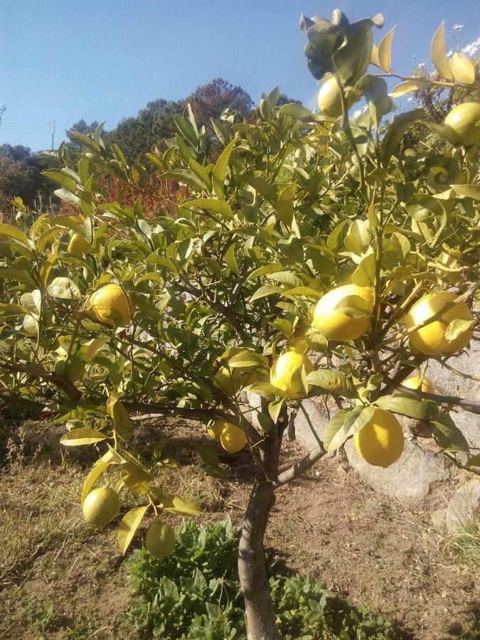 Quinta Do Tempo Turismo Rural Monchique Kültér fotó